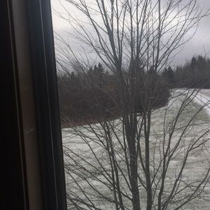 Meet your Posher, Annika